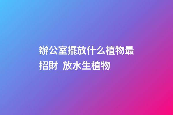 辦公室擺放什么植物最招財  放水生植物